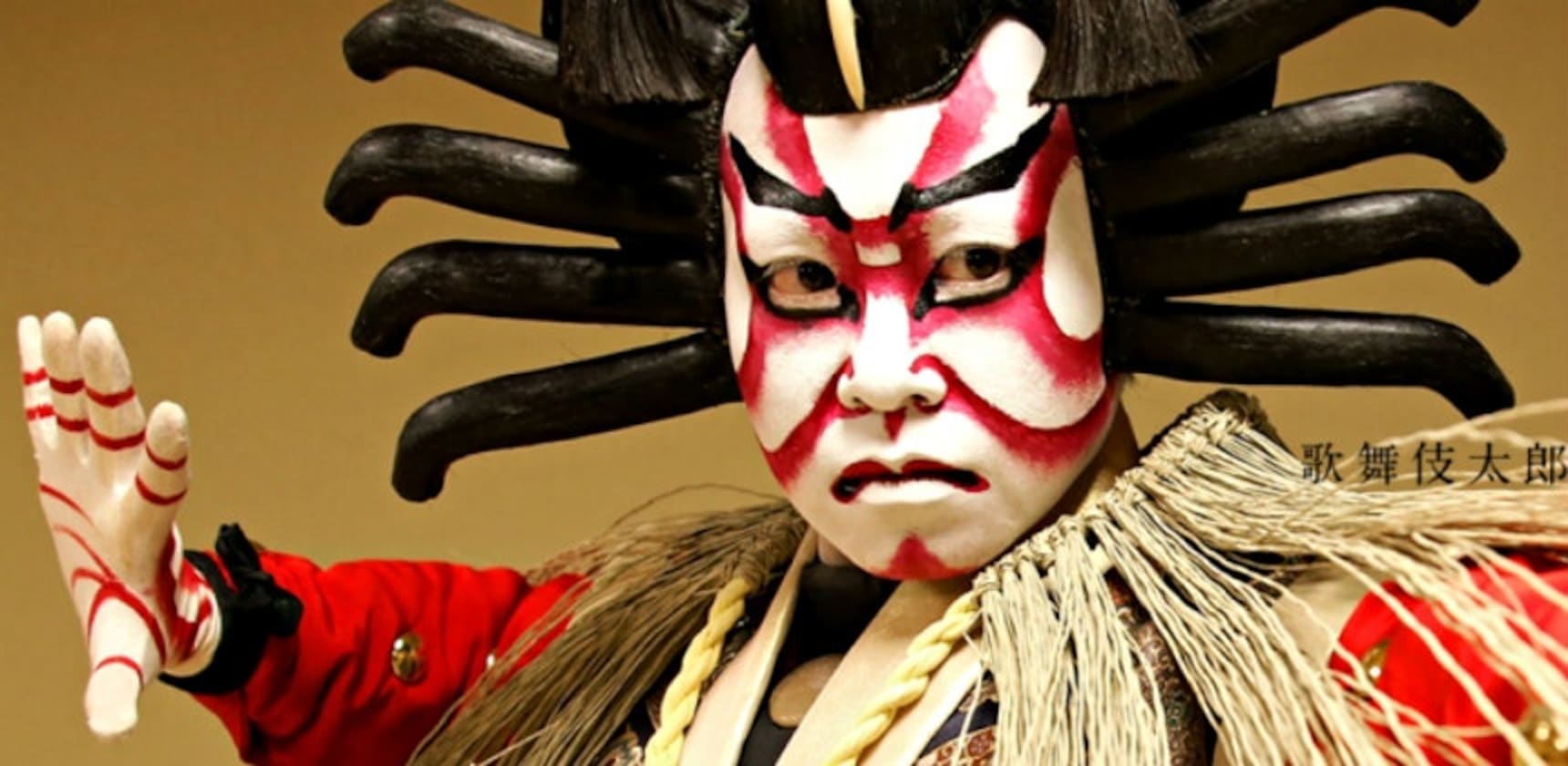 kabuki fox face paint