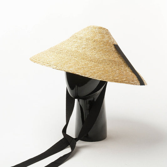 wide brim straw hat