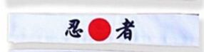 cheerleading headband