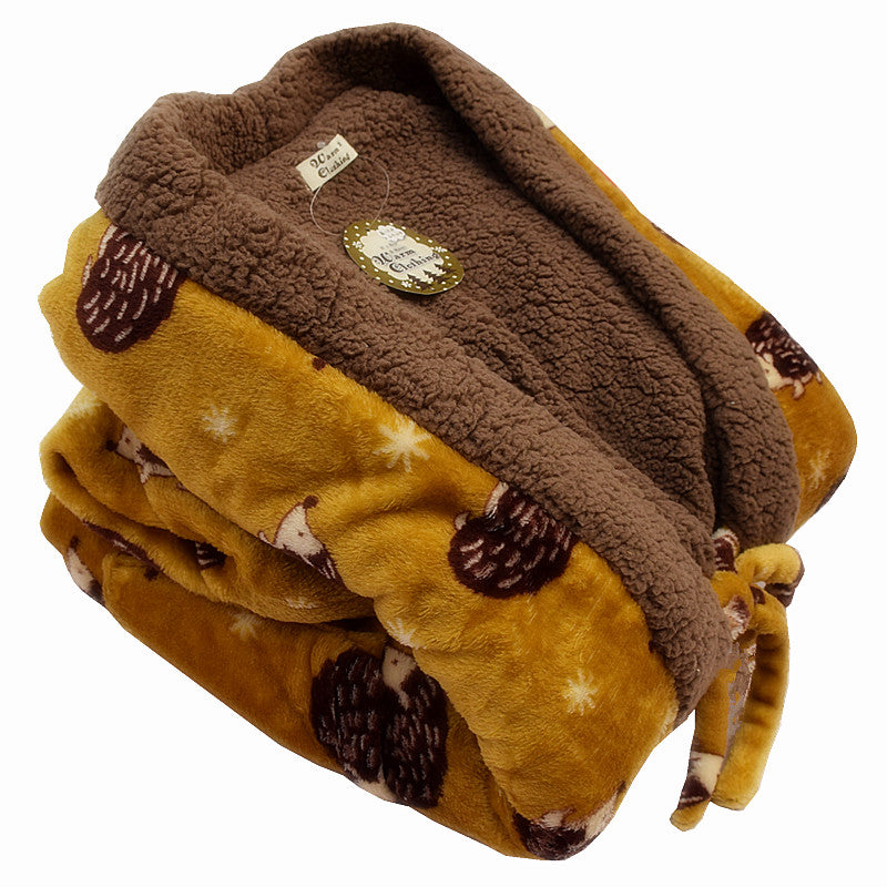 hedgehog hanten