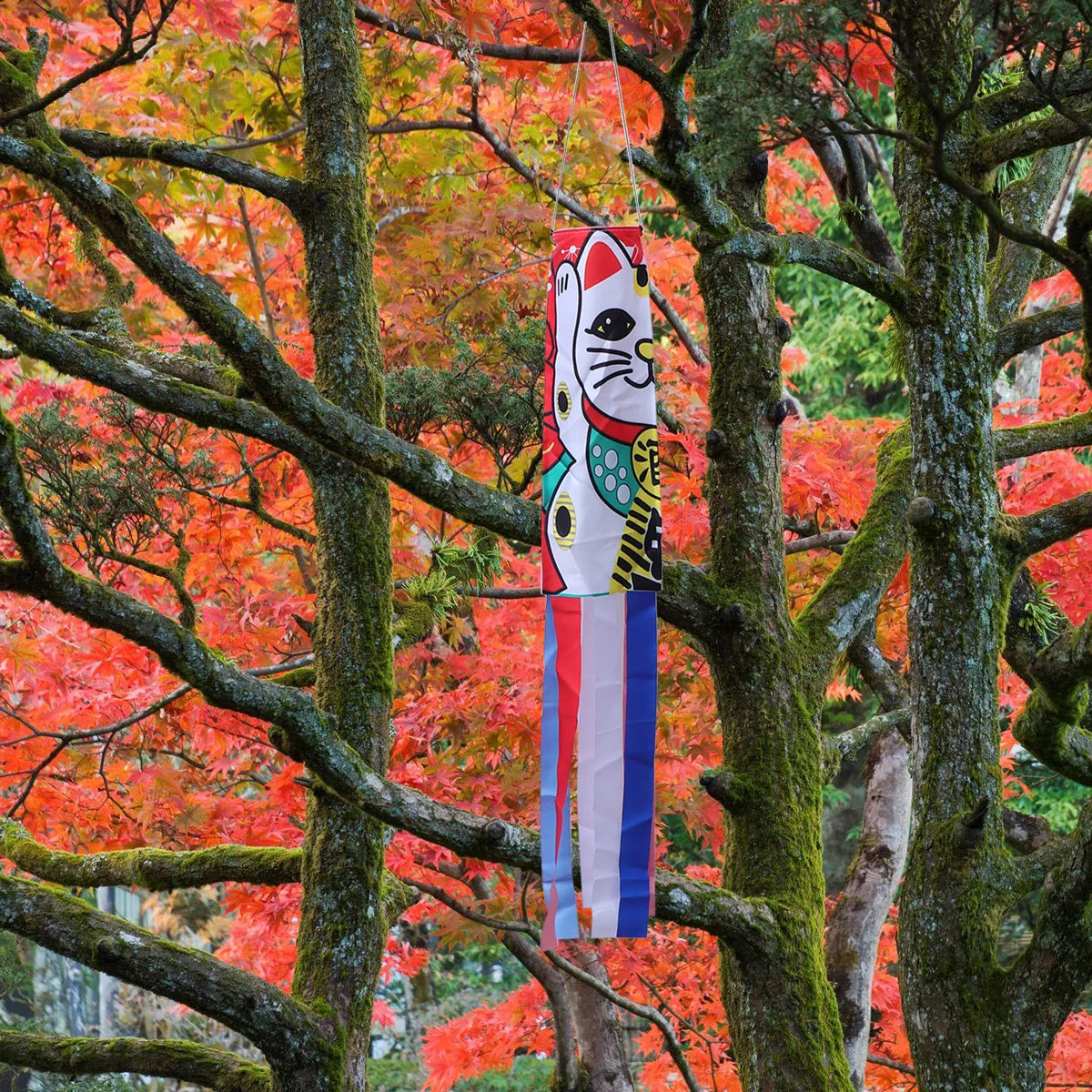 Japanese Maneki Neko Koinobori