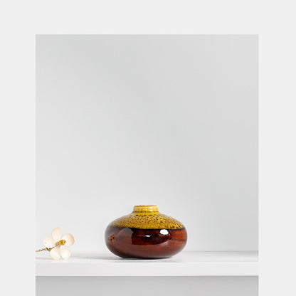 hydroponic modern vase